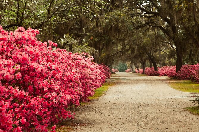 2-Hour Bonaventure Cemetery Walking Tour - The stories you’ll hear: symbols, phrases, and famous names