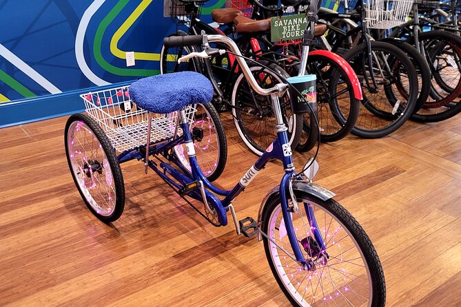 2-Hour Explore Savannah Bike Tour - Andrew Low House Museum and SCAD: great options, but plan for entry