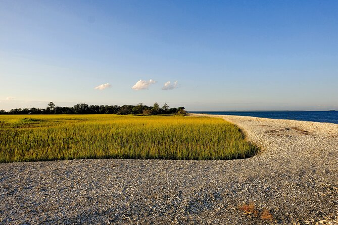 2 Hours Dolphin Eco Tour - Price and Value: Is $47 for Two Hours a Good Deal?