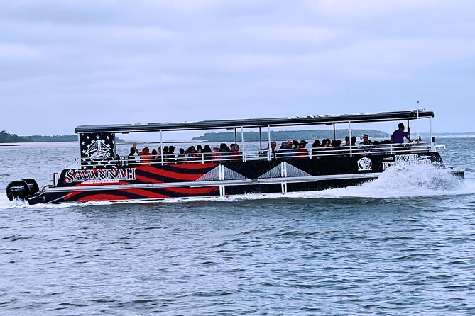 2 Hours Dolphin Eco Tour - Who This Tour Is Best For (and When to Skip It)