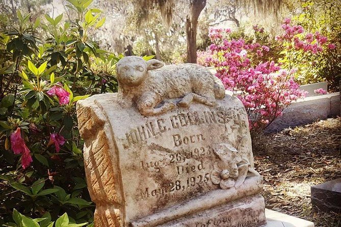 Bonaventure Cemetery Scenic History Art Symbols and Film Tour - Weather, pacing, and who this is best for