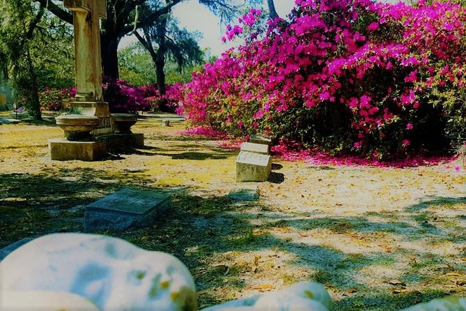 Bonaventure Cemetery Scenic History Art Symbols and Film Tour - Price and value: why $30 can make sense here