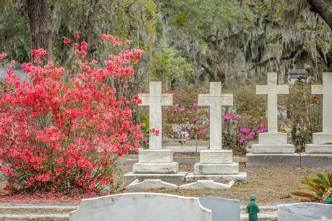 Bonaventure Cemetery & Wormsloe State Historic Site Tour - Should you book it? My practical take