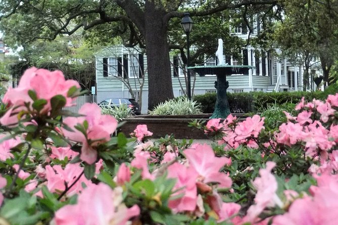 Botanical Tour (by Walk With Me Savannah Tours) - Price and pacing: is $40 worth it?