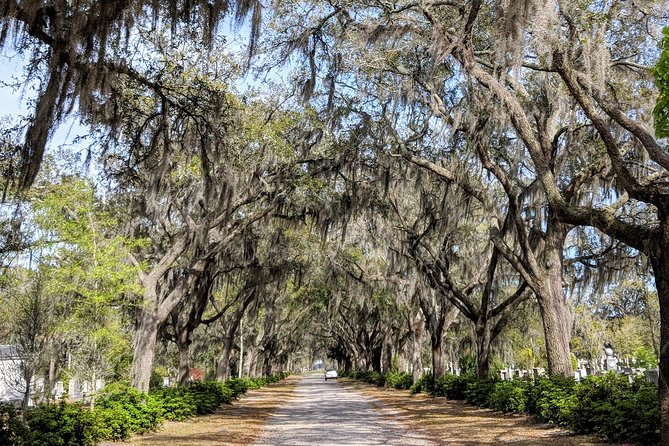 Custom Savannah Private Tour - Starting in the Savannah Historic District on Foot
