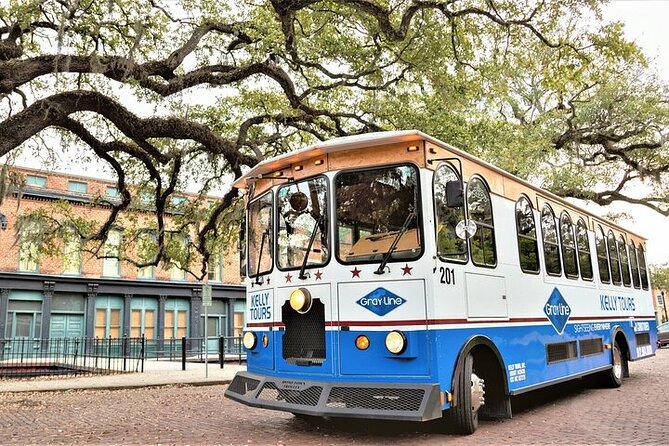 Explore Savannah Sightseeing Trolley Tour with Bonus Unlimited Shuttle Service - River Street’s Ballast Stones: The Waterfront Detail That Changes How You Look at It