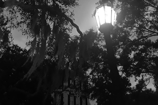 Fraidy Cat: The Family Fun Ghost Tour of Savannah - Walking, weather, and the comfort checklist that saves the night