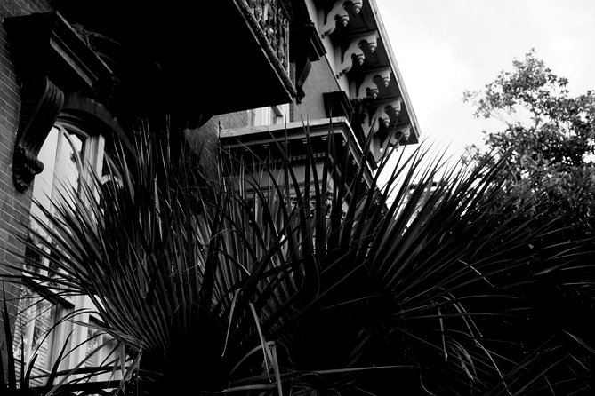 Genteel and Bard's Savannah Dark History and Ghost Encounter Walking Tour - Stop 1: Oglethorpe Square and the city’s haunted reputation