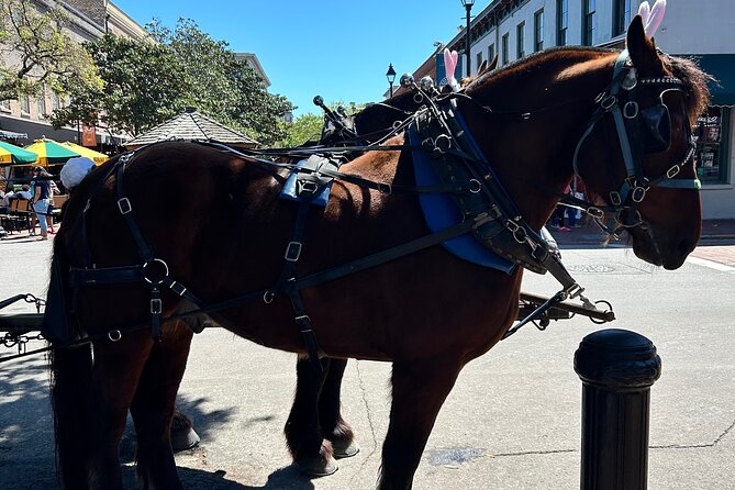 Horse Drawn Daytime Group Narrated Historic Overview Tour - Key things to know before you board