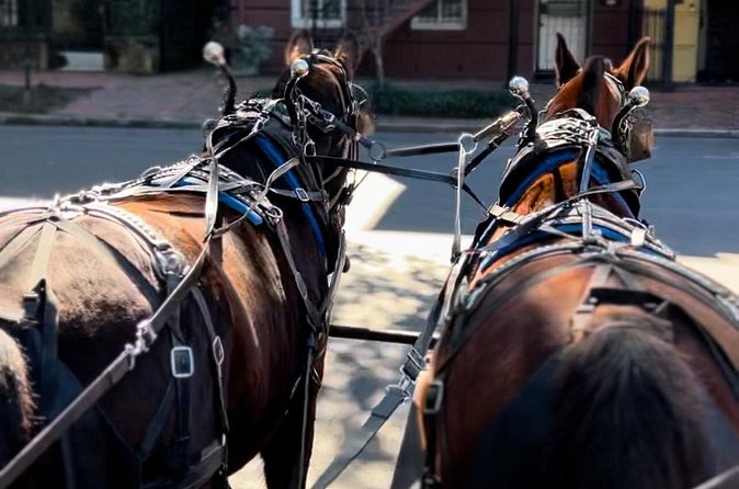 Horse Drawn Daytime Group Narrated Historic Overview Tour - The narration: humor, timing, and what you can actually hear