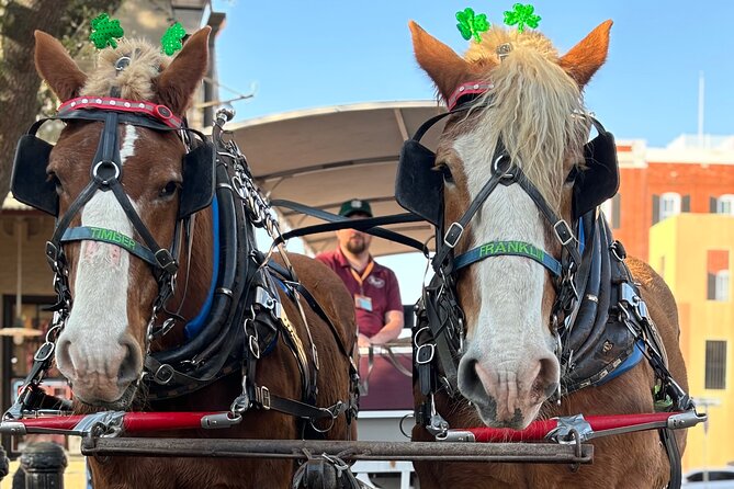 Horse Drawn Daytime Group Narrated Historic Overview Tour - Where you meet: Jefferson Street and West Saint Julian