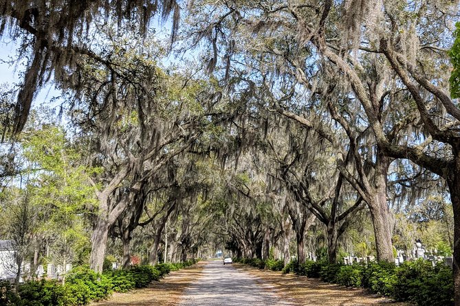 Private Tour of Savannah's Historic/Victorian Districts & Bonaventure Cemetery - Victorian District and Queen Anne architecture: what to look for