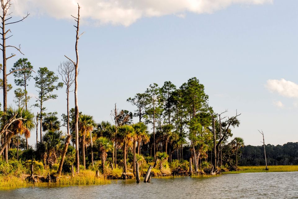 Savannah: Dolphin Spotting and Wildlife Eco Cruise - The 2-Hour Route: Port Views, Marshes, and Tidal Creeks