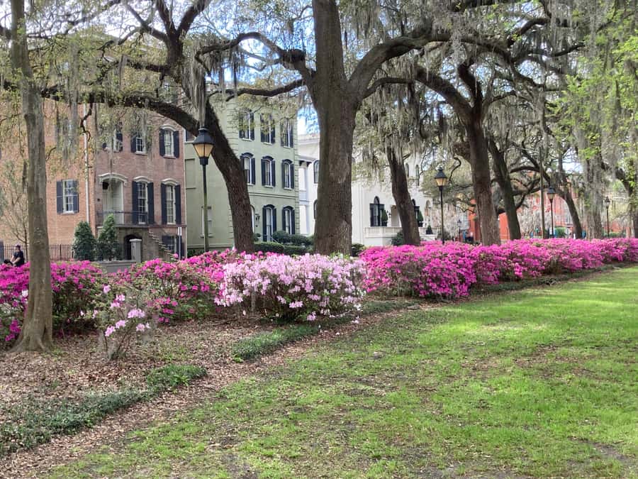 Savannah: Highlights Off the Beaten Path Guided Walking Tour - Key highlights worth prioritizing
