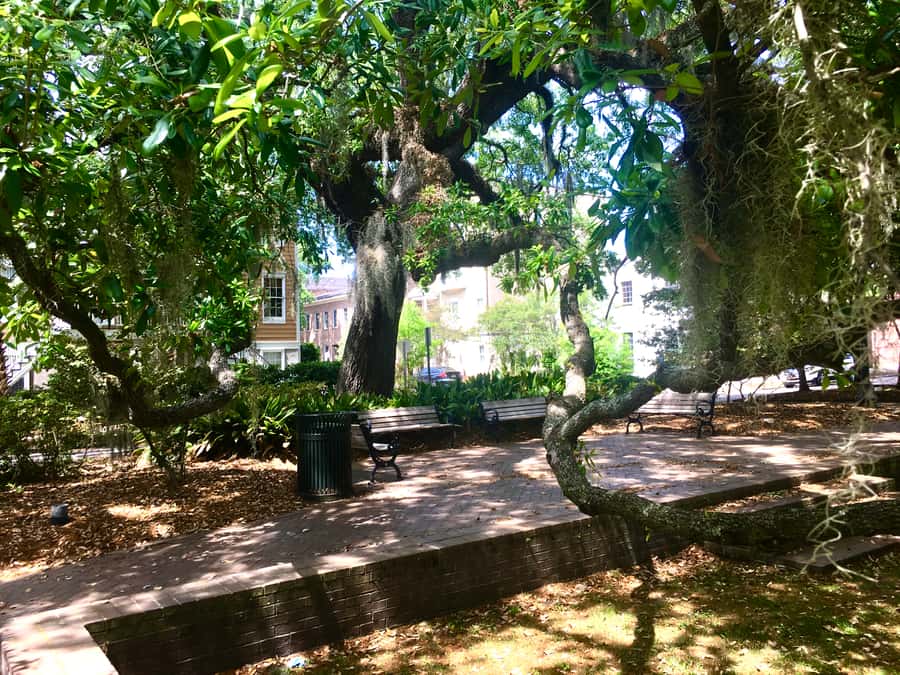 Savannah: Highlights Off the Beaten Path Guided Walking Tour - From Forsyth Park to Chippewa Square: the flow of this Savannah walk