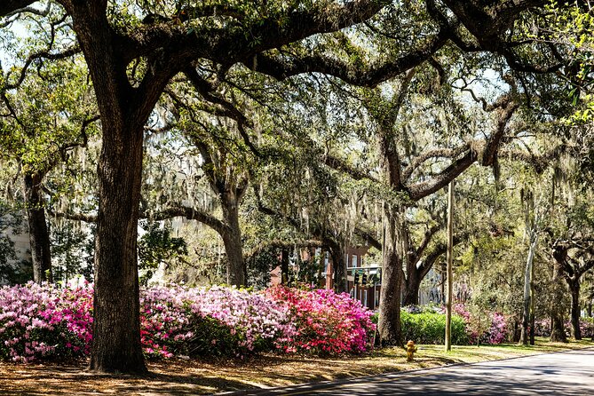 Savannah Historic Downtown Donut & Sweet Treats Adventure - Wright Square: the statue-and-boulder combo you’ll remember