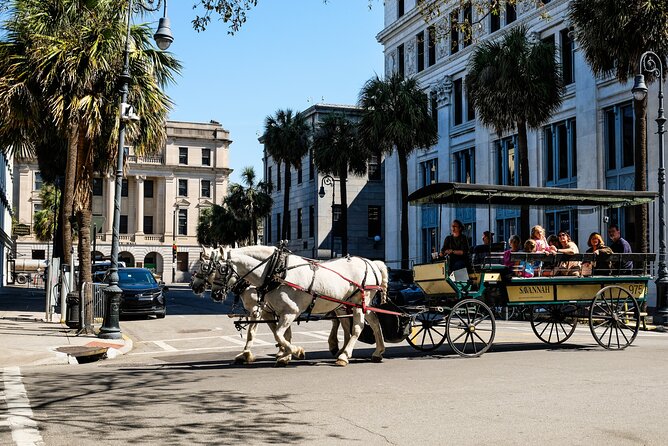 Savannah Historic Downtown Donut & Sweet Treats Adventure - City Market: where the walk ends and the city keeps moving