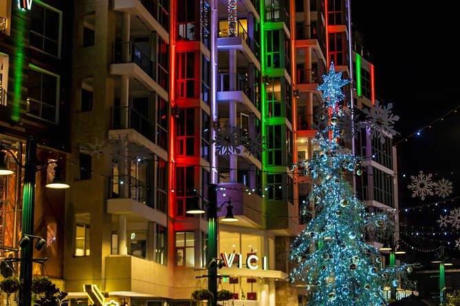 Savannah Holiday Sights and Festive Nights Trolley Tour - Price and What You Actually Get for $38.47
