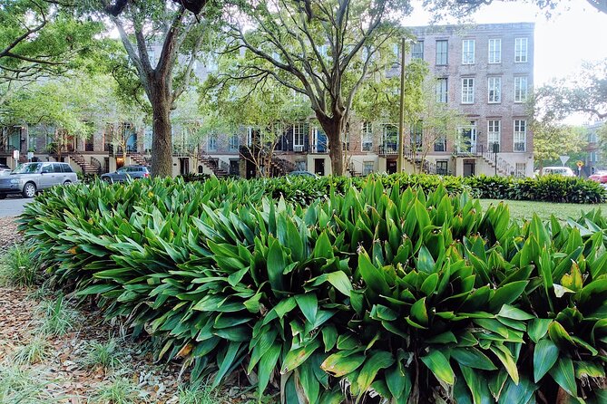 Savannah Irish History Walking Tour - Key things to know before you go