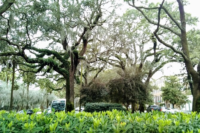 Savannah Irish History Walking Tour - The Route Theme: Irish Roots Through Savannah’s Names and Squares