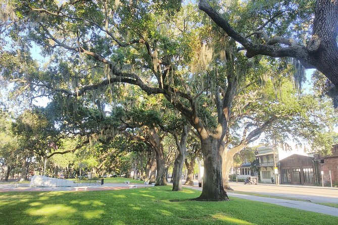 Savannah Irish History Walking Tour - Stop 3: Emmet Park Ending at the Celtic Cross (Irish Green Connection)