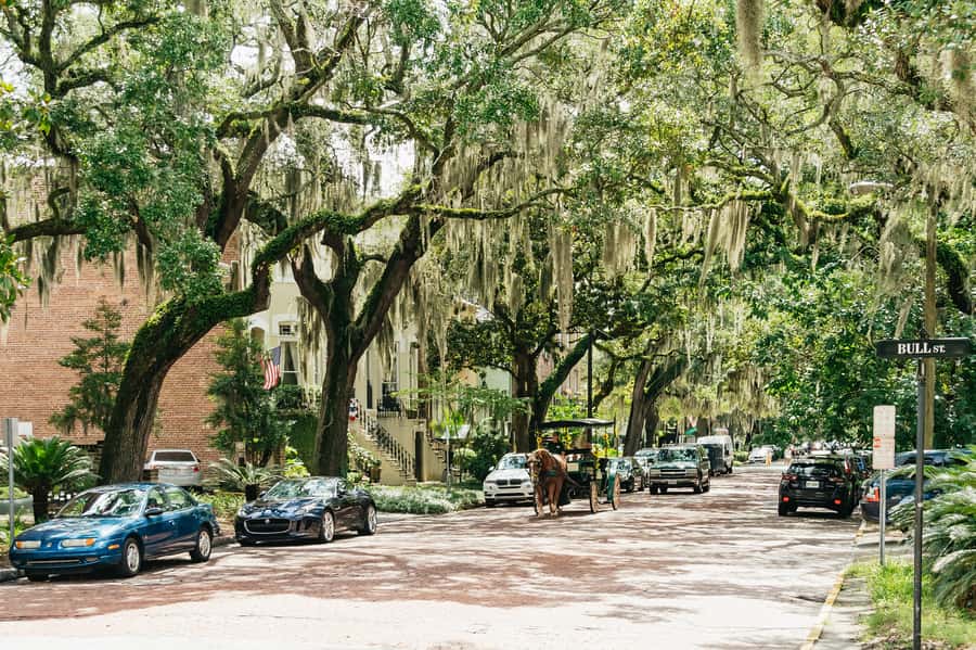 Savannah: Old Savannah Tours Historic Overview - Comfort and Timing: Open-Air Realities (Heat, Rain, and Tight Streets)