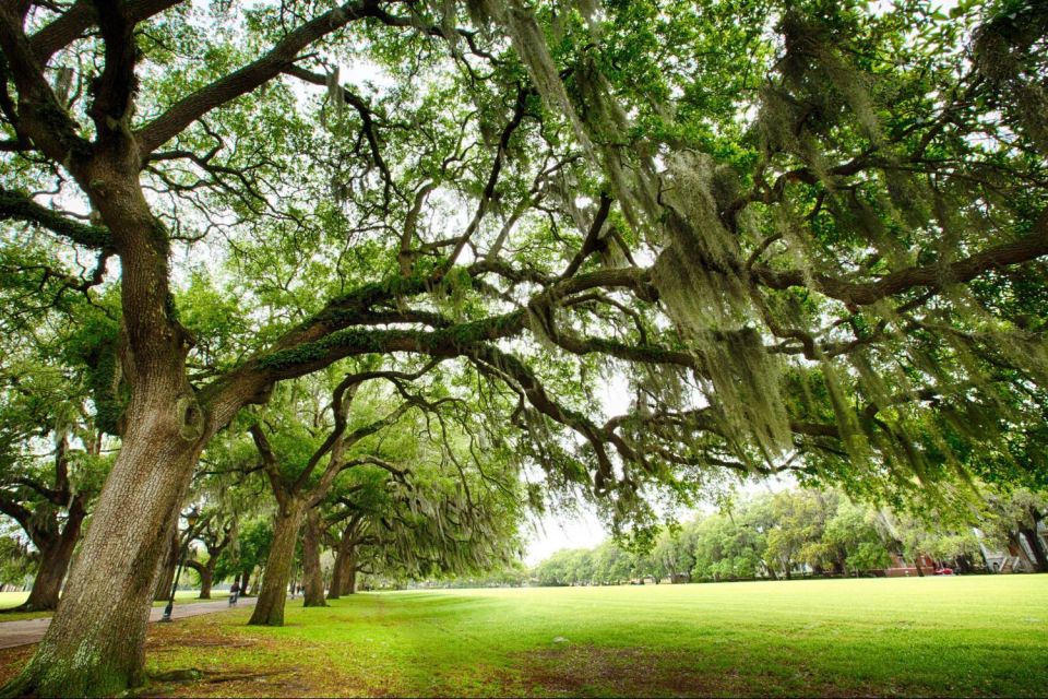 Savannah: Riverboat Cruise & City Tour Combo - Old Fort Jackson from the water: why this stop matters