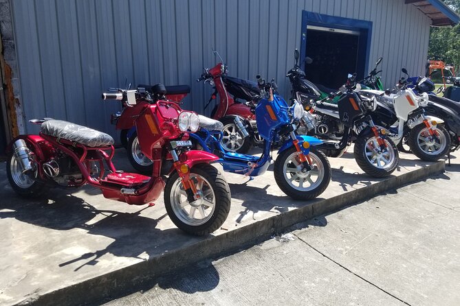 Savannah Scooter and Trike Rental with Helmet - Who this is best for (and who should think twice)