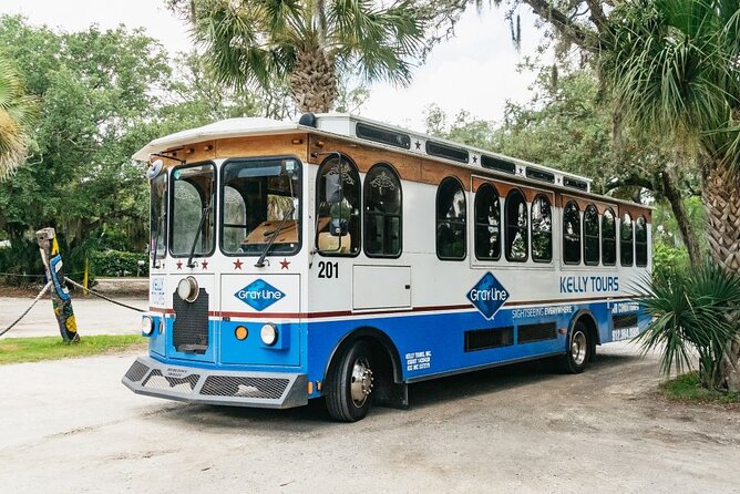 Savannah to Tybee Island with Dolphin Cruise - The Dolphin Watching Cruise: Where the Day Becomes the Day