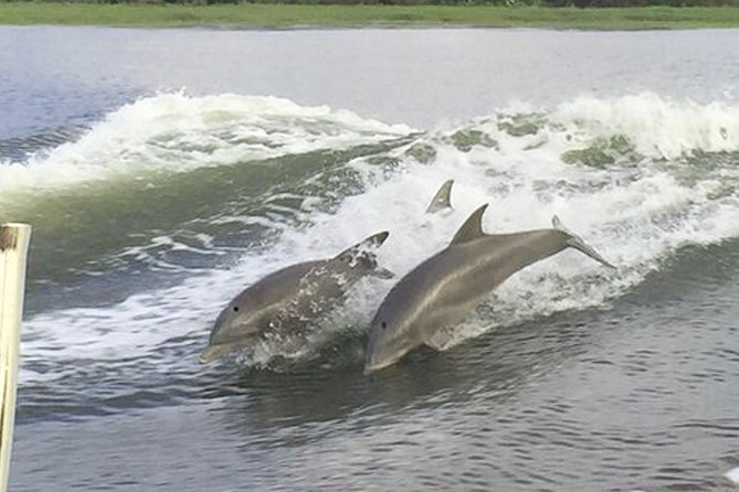 Savannah to Tybee Island with Dolphin Cruise - Lighthouse Photo Time on North Beach: Great Shots, Limited Access