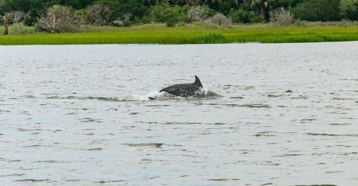Savannah: Tybee Island Dolphin Tour - Gray Line Savannah Pickup: Getting to Tybee Without Hassle