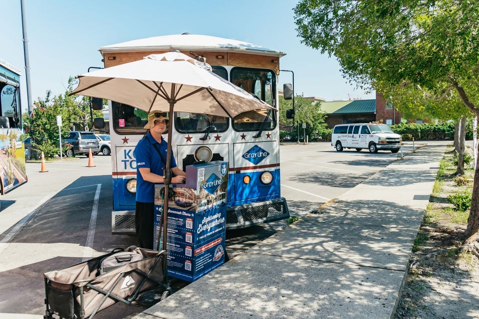 Savannah: Tybee Island Dolphin Tour - Should You Book This Tybee Dolphin Tour?