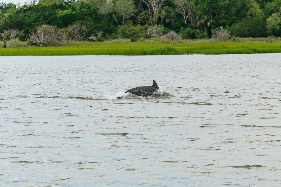 Savannah: Tybee Island Dolphin Tour - The Dolphin Cruise Through Tybee’s Waterways