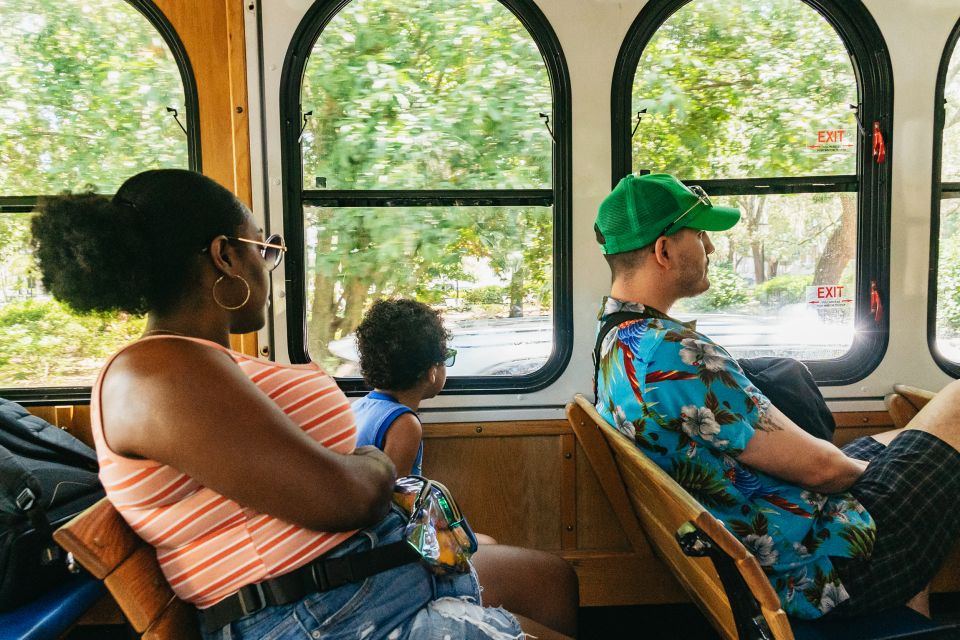 Savannah: Tybee Island Dolphin Tour - Price and Value at $74: What You’re Really Paying For