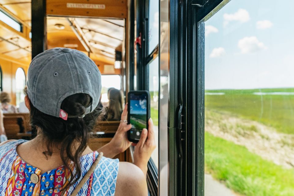 Savannah: Tybee Island Dolphin Tour - Who This Tour Fits Best (and Who Might Skip It)