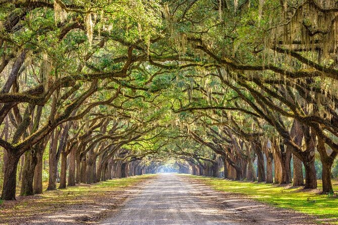 The History Buff: Savannah Walking Tour - Savannah’s Big Names: From John Wesley to Chief Tomochichi
