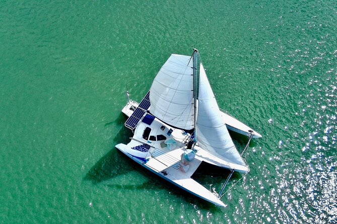 Two Hour Coastal Sailing Cruise - Quick highlights you’ll care about