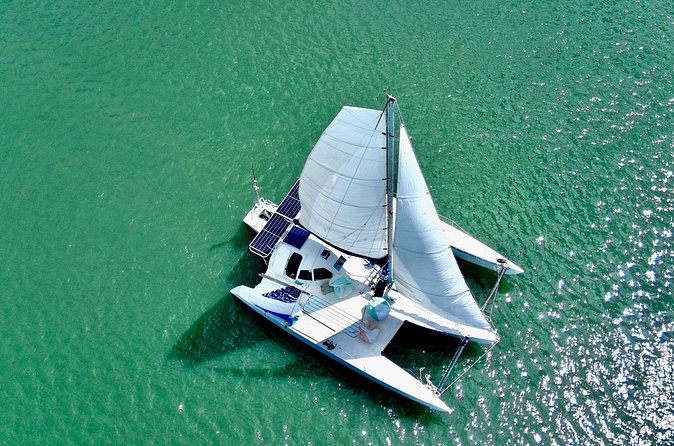 Two Hour Coastal Sailing Cruise - Wildlife spotting: dolphins, pelicans, ospreys, and real expectations